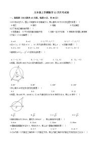 2020-2021年广西防城港市九年级上学期数学12月月考试卷