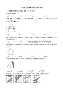 2020-2021年浙江省绍兴市柯桥区九年级上学期数学12月月考试卷