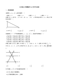 2020-2021年广西壮族自治区贺州市九年级上学期数学12月月考试卷