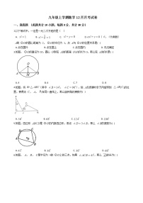 2020-2021年广东省惠州市九年级上学期数学12月月考试卷