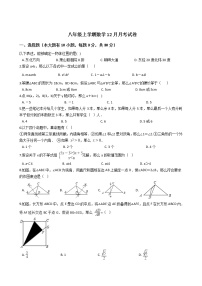 2020-2021年浙江省杭州市萧山区八年级上学期数学12月月考试卷