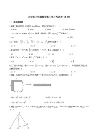 2020-2021年河南省林州市八年级上学期数学第三次月考试卷（B卷）