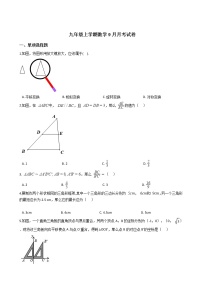 2020-2021年上海九年级上学期数学9月月考试卷