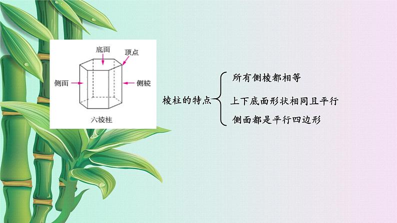 鲁教版（五四制）六年级上册数学 第一章 丰富的图形世界《生活中的立体图形》课件第6页