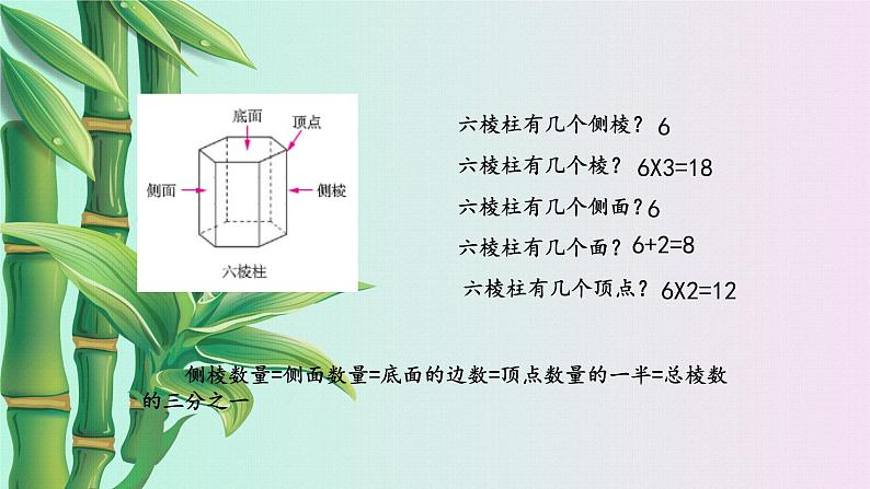 鲁教版（五四制）六年级上册数学 第一章 丰富的图形世界《生活中的立体图形》课件第7页