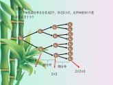 鲁教版（五四制）六年级上册数学 第二章 有理数及其运算《有理数的乘方》课件