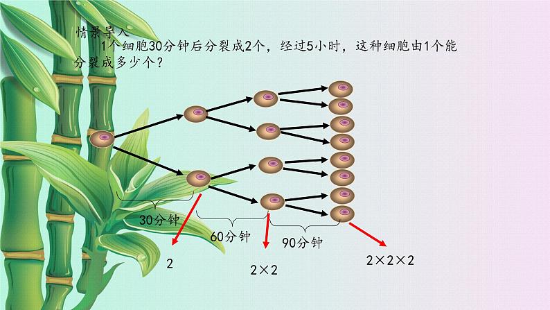 鲁教版（五四制）六年级上册数学 第二章 有理数及其运算《有理数的乘方》课件第2页