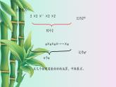 鲁教版（五四制）六年级上册数学 第二章 有理数及其运算《有理数的乘方》课件