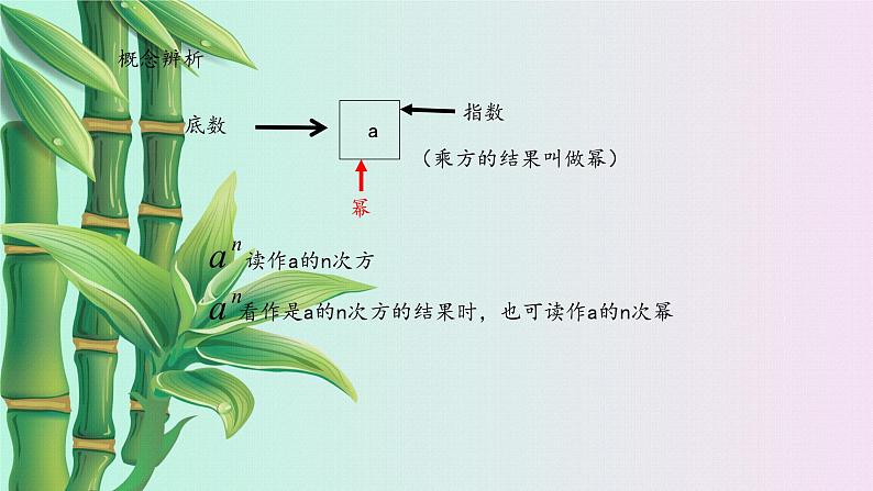 鲁教版（五四制）六年级上册数学 第二章 有理数及其运算《有理数的乘方》课件第6页