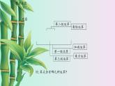 魯教版（五四制）六年級(jí)上冊(cè)數(shù)學(xué) 第二章 有理數(shù)及其運(yùn)算《有理數(shù)的混合運(yùn)算》課件