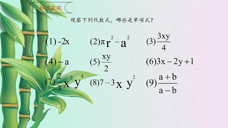 鲁教版（五四制）六年级上册数学第三章 整式及其加减《整式》课件07