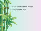鲁教版（五四制）六年级上册数学第三章 整式及其加减《去括号》课件