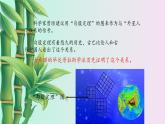 鲁教版（五四制）七年级上册数学第三章 勾股定理《探索勾股定理》课件