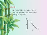 鲁教版（五四制）七年级上册数学第三章 勾股定理《一定是直角三角形吗》课件