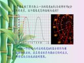 魯教版（五四制）七年級(jí)上冊(cè)數(shù)學(xué)第六章 一次函數(shù)《一次函數(shù)的圖象》課件