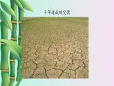 魯教版（五四制）七年級上冊數(shù)學(xué)第六章 一次函數(shù)《一次函數(shù)的應(yīng)用》課件
