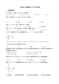 2020-2021年安徽省淮南市九年级上学期数学11月月考试卷及答案