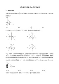 2020-2021年山东省泰安市九年级上学期数学11月月考试卷及答案