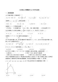 2020-2021年安徽省淮北市九年级上学期数学11月月考试卷及答案