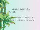 鲁教版（五四制）九年级上册数学 第四章 投影与视图《投影》课件