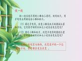 鲁教版（五四制）九年级上册数学 第四章 投影与视图《投影》课件