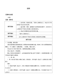 鲁教版 (五四制)九年级上册1 投影教案设计