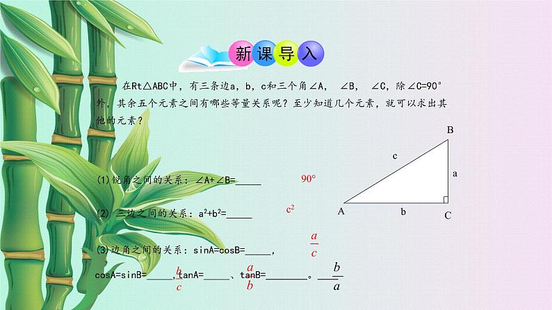 鲁教版（五四制）九年级上册数学第二章 直角三角形的边角关系《解直角三角形》课件第2页