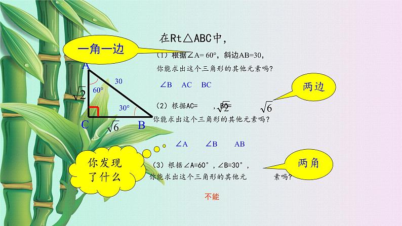 鲁教版（五四制）九年级上册数学第二章 直角三角形的边角关系《解直角三角形》课件第4页