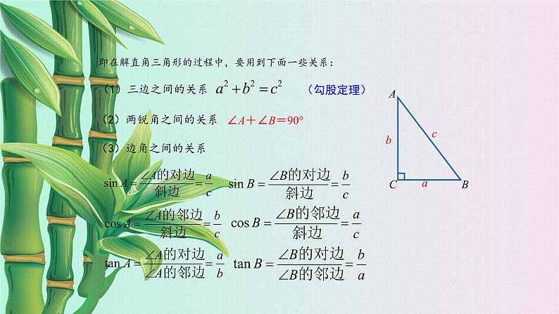 鲁教版（五四制）九年级上册数学第二章 直角三角形的边角关系《解直角三角形》课件第7页