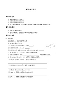 初中数学鲁教版 (五四制)九年级上册4 解直角三角形学案