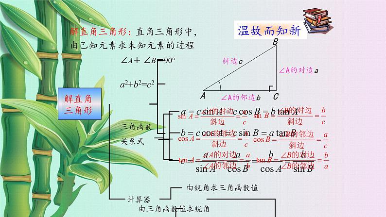 鲁教版（五四制）九年级上册数学第二章 直角三角形的边角关系《三角函数的应用》课件03