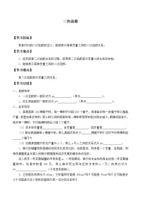 鲁教版 (五四制)九年级上册2 二次函数学案