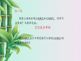 图形变化的简单应用PPT课件免费下载