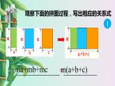 鲁教版（五四制）八年级上册数学第一章因式分解《 因式分解》课件