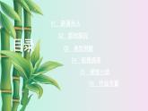 湘教版七年級(jí)上冊(cè)數(shù)學(xué) 第四章 圖形的認(rèn)識(shí)《幾何圖形》課件