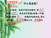魯教版（五四制）九年級上冊數學第一章 反比列函數《反比例函數》課件