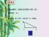 鲁教版（五四制）九年级上册数学第二章 直角三角形的边角关系《锐角三角函数》课件