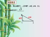 鲁教版（五四制）九年级上册数学第二章 直角三角形的边角关系《锐角三角函数》课件