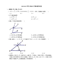 2020-2021学年上海市七下期中数学试卷