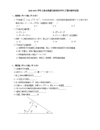 2020-2021学年上海市青浦区清河湾中学七下期中数学试卷