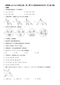 初中数学浙教版八年级上册第1章 三角形的初步知识综合与测试一课一练