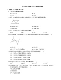 2019-2020学年厦门市九上期末数学试卷