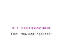 初中数学人教版八年级上册12.2 三角形全等的判定教课内容课件ppt