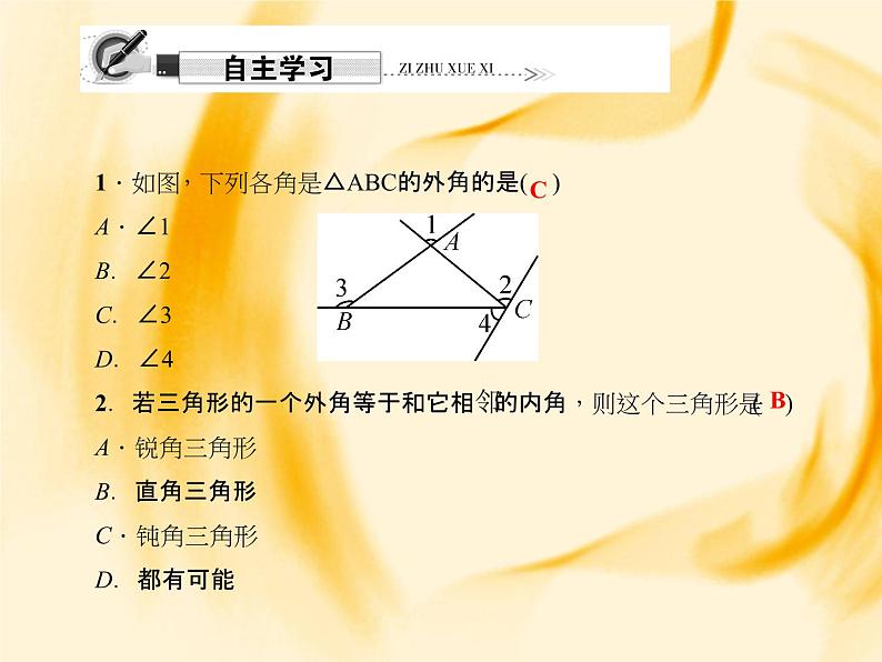 人教数学八上11.2.2　三角形的外角课件PPT02