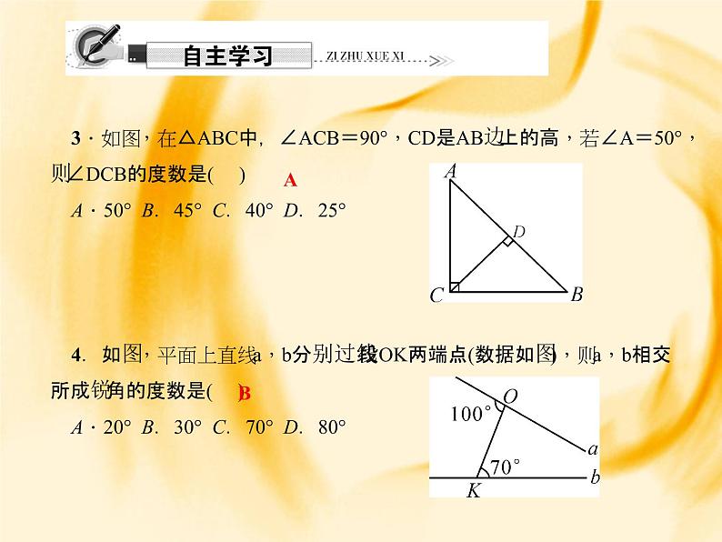 人教数学八上综合训练(一)　三角形课件PPT第3页