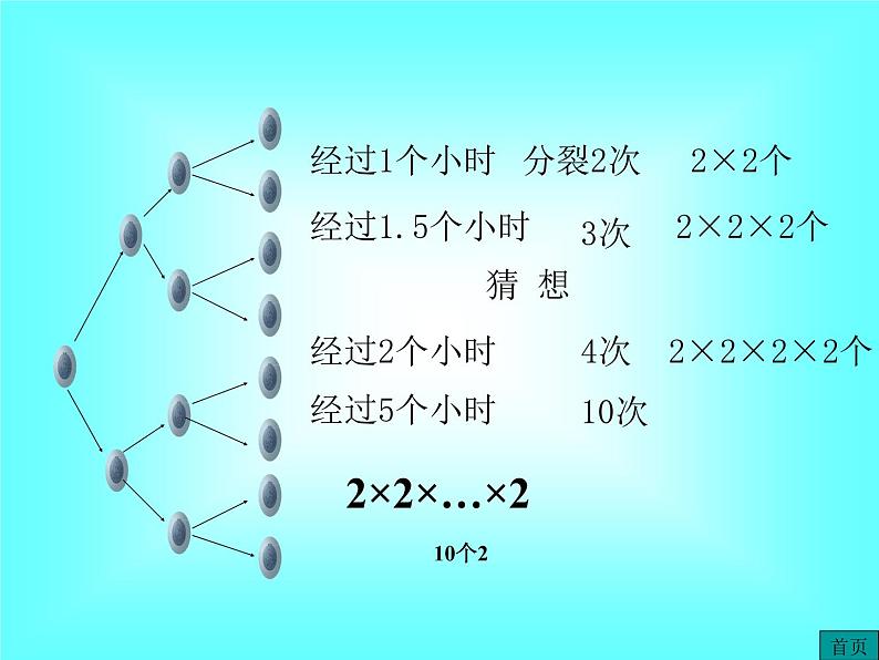 1.5.1 第1课时 乘方1课件PPT04