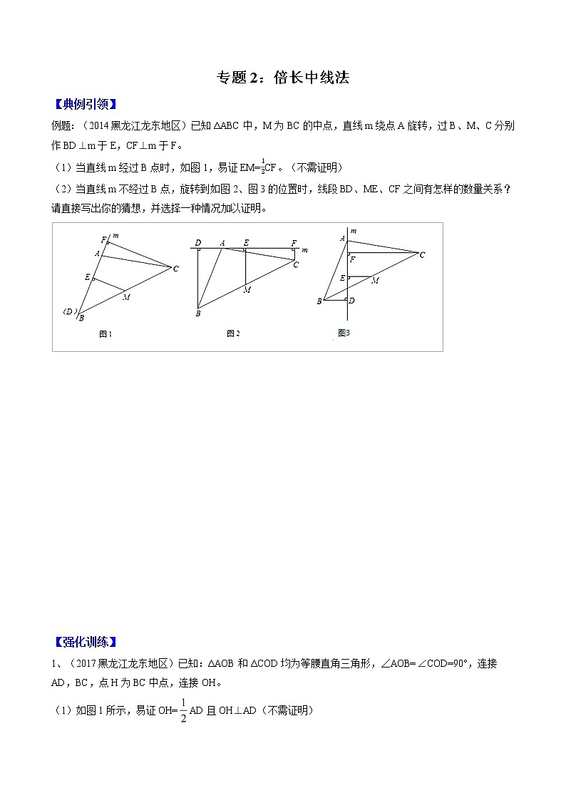专题02 倍长中线法（学生版）  备战2021年中考几何压轴题分类导练第1页