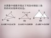 23.3.1相似三角形 华师大版数学九年级上册 课件3