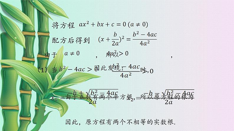 湘教版九年级上册数学  第二章一元二次方程《一元二次方程根的判别式》课件第3页