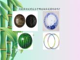 冀教版九年級上冊數(shù)學(xué)  第28章 圓的概念和性質(zhì)《圓的概念及性質(zhì)》課件